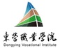 DONGYING VOCATIONAL INSTITUTE